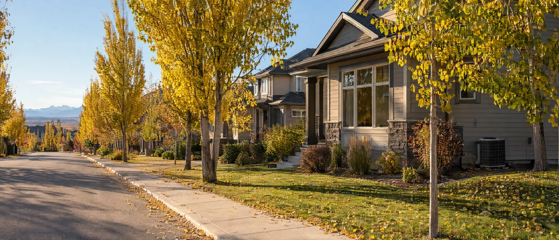 Tree-lined Calgary suburban street in fall